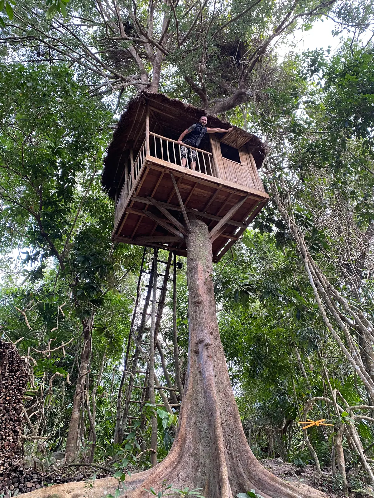 Wooden treehouse on a tall trunk among forest trees