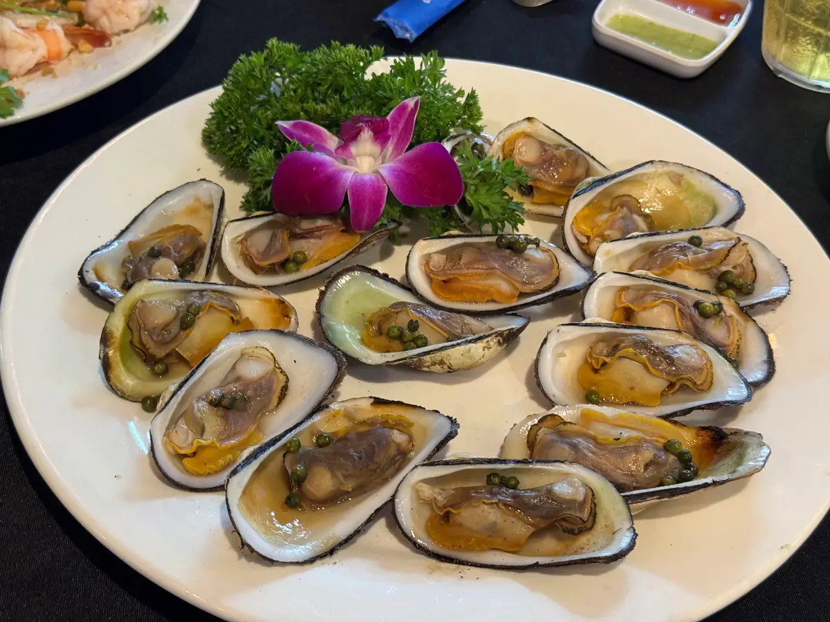 Round white plate of steamed mussels in their shells garnished with an orchid