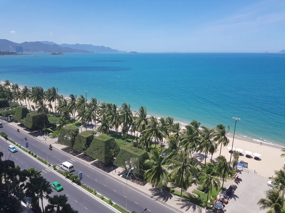 Aerial view of the Nha Trang beach road lined with palm trees beside a wide pale beach and blue sea