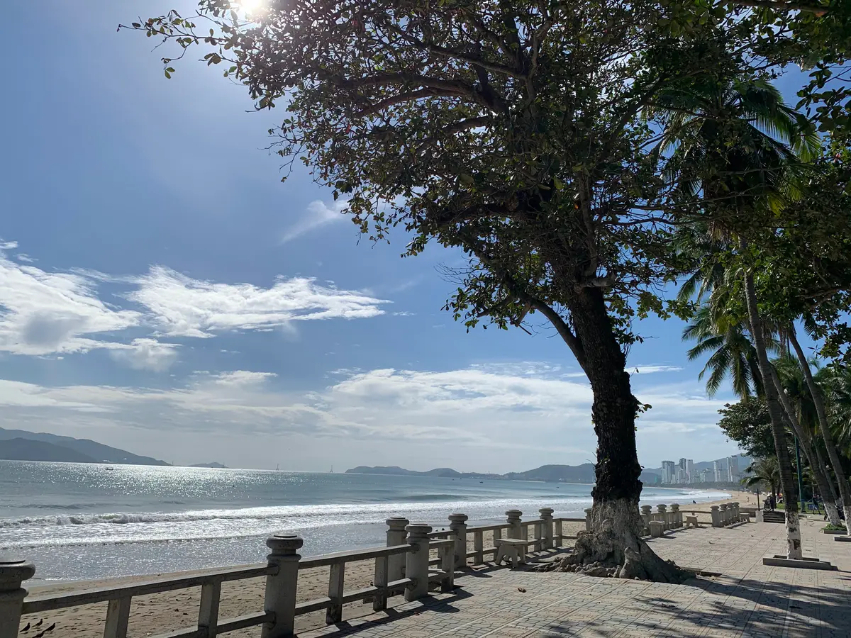 Large tree and low sea wall on the Nha Trang beach under broken cloud, with hills across the bay