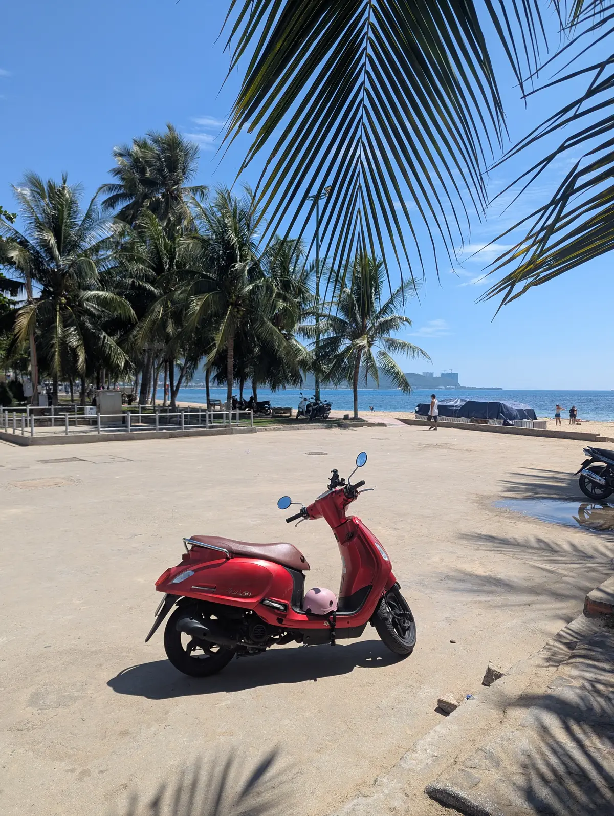 Red scooter parked on a sandy beach path under palm trees