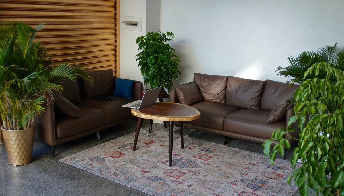 Leather sofas and a wooden coffee table on a patterned rug beside tall green plants