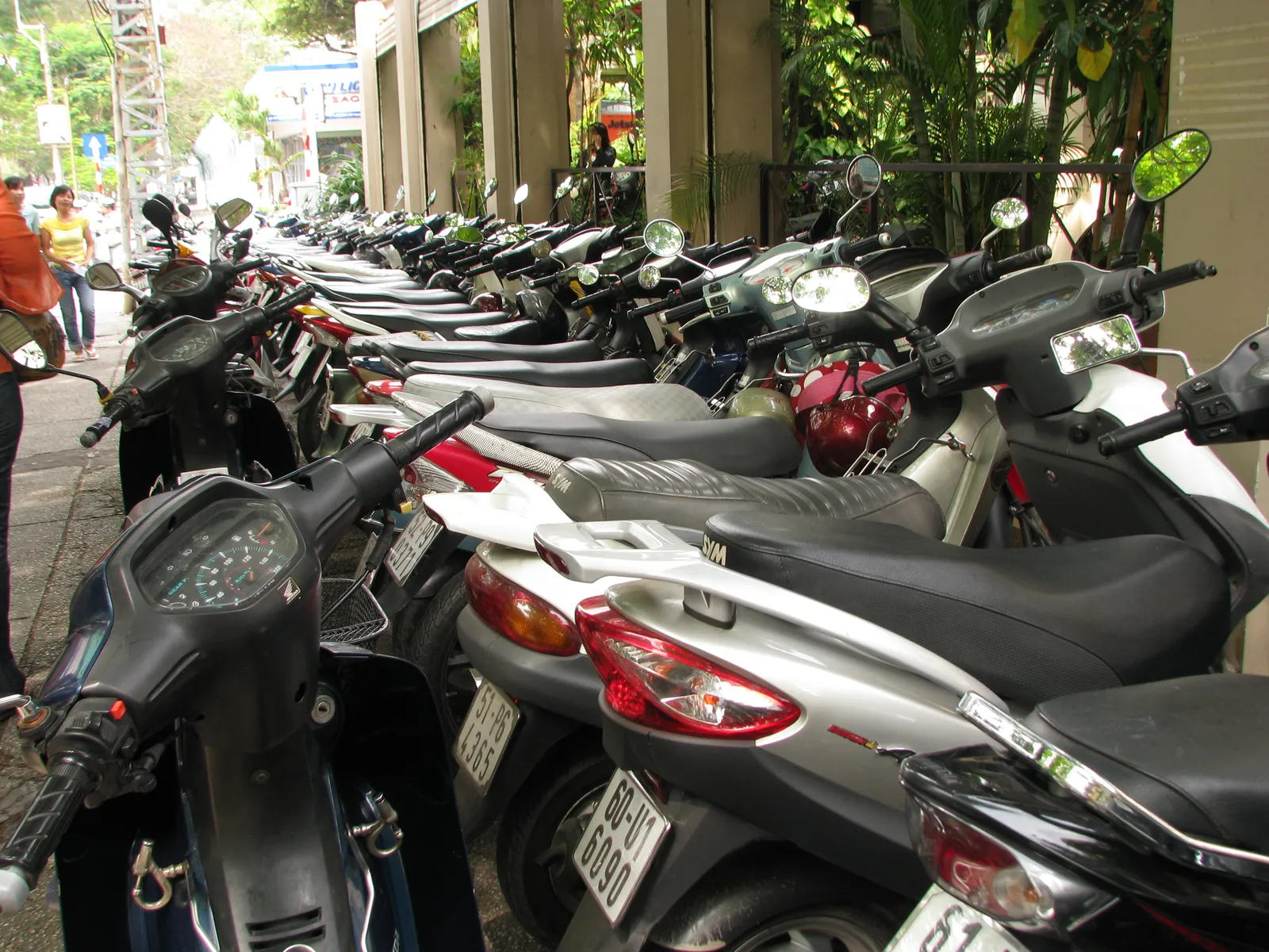 Rows of motorbikes parked together on a Vietnamese city street