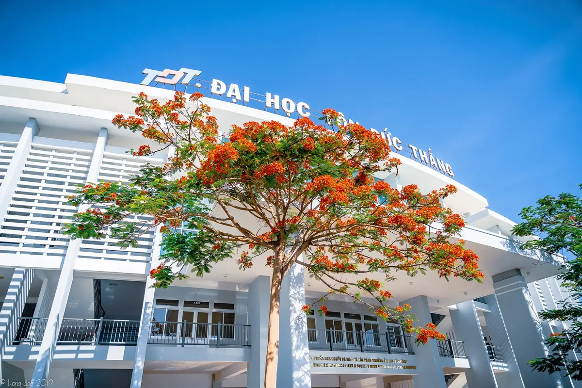 A white building with a curved rooftop sign and a flame tree in orange bloom in front.