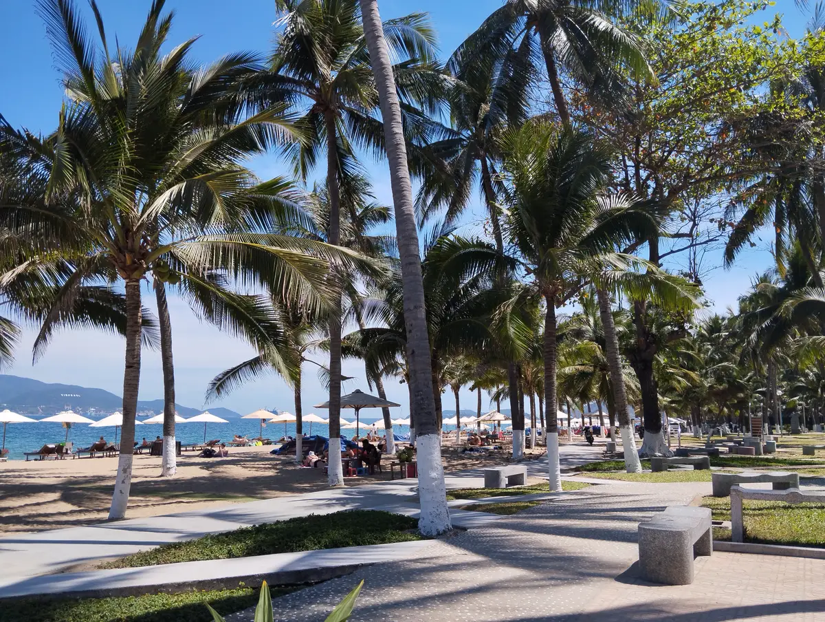 Tall coconut palms and white parasols on the sand at Nha Trang beach, with the sea beyond