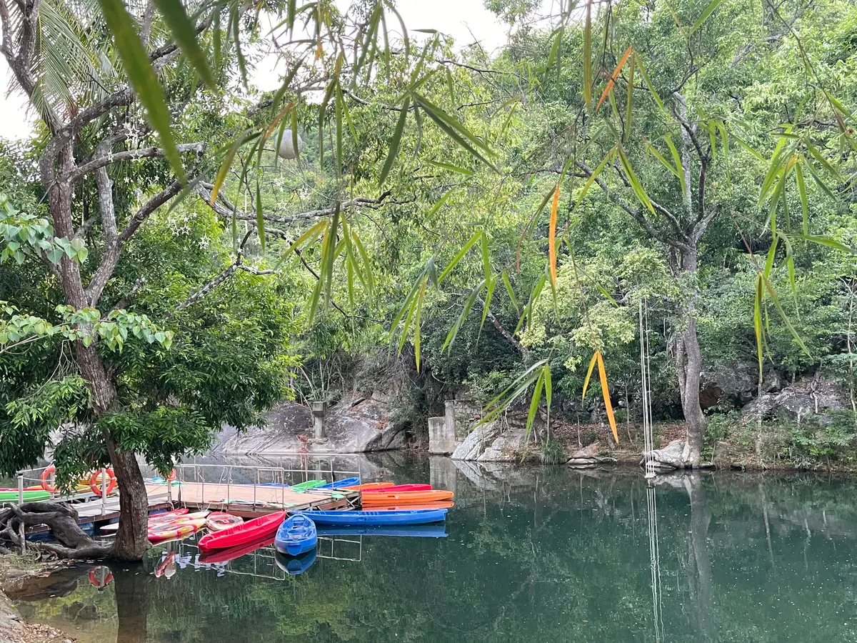 Calm green lake with kayaks and pedal boats moored at the edge under trees