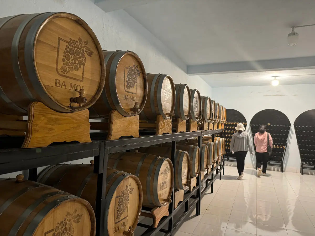 Rows of wooden wine barrels on shelves in a bright cellar room