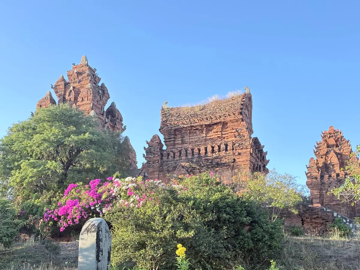 Red brick Cham towers on a hilltop behind pink bougainvillea and green trees under a blue sky