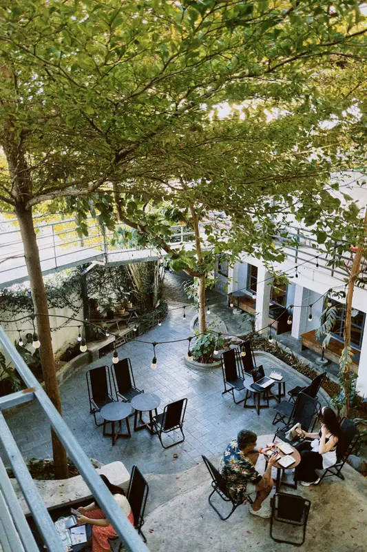Nora Coffee, photo 5