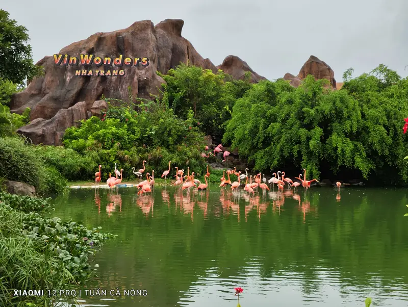 VinWonders Nha Trang, photo 2