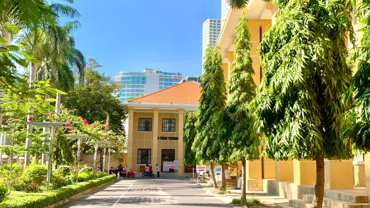 A yellow building with an orange tiled roof at the end of a tree-lined path.