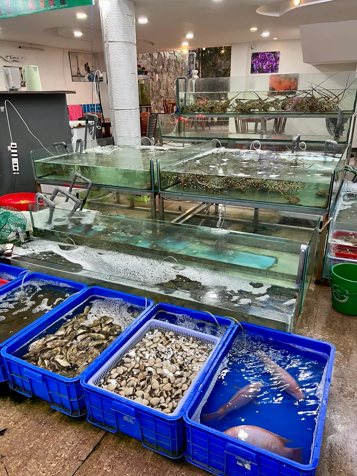 Glass seafood tanks with shellfish in blue crates at a seafood restaurant