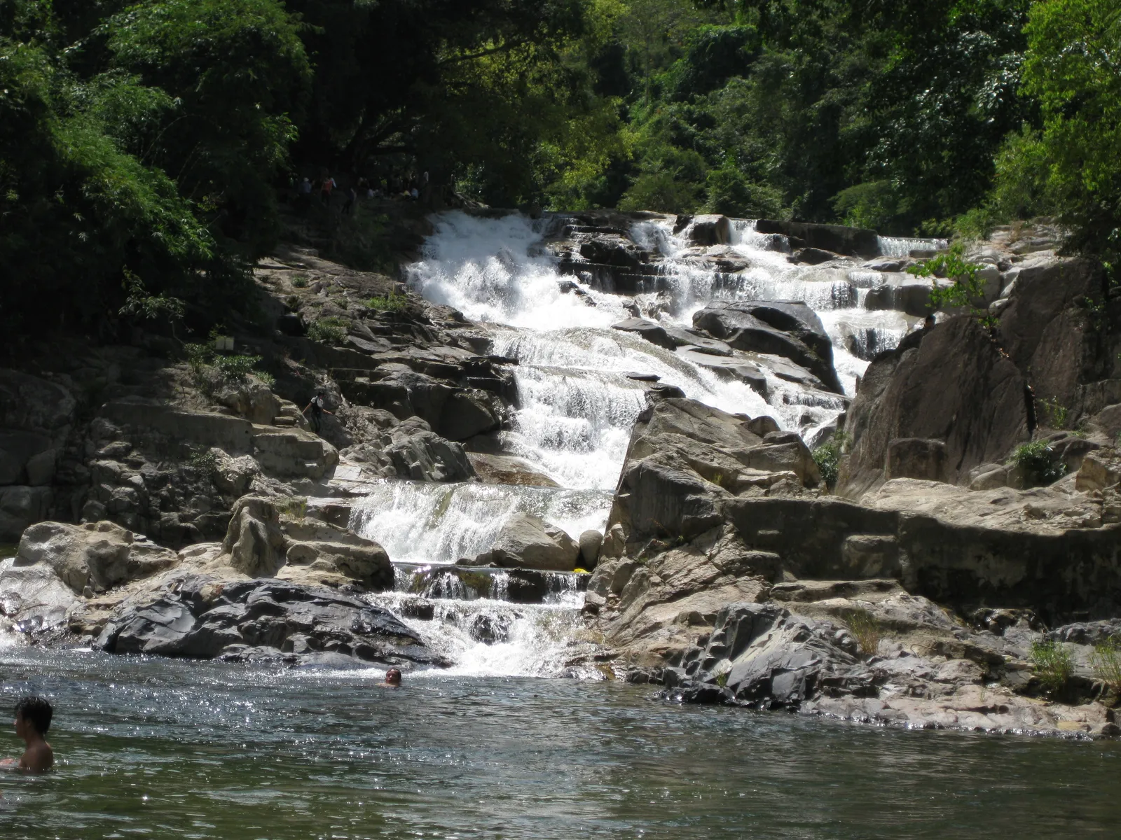 Water cascading down a rocky stream bed beneath forest trees